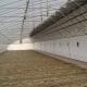 2000.000kg Tomato and Cucumber Cultivation Sunlight Greenhouse Solution with Arched Roof