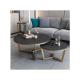 Modern Nordic Style Round Coffee Table with Marble Top and Adjustable Height Set of 2