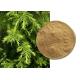 Natural Agricultural Cosmetics Artemisia Annua Extract
