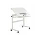 Sit Stand Foldable Adjustable Office Table Dual Motor Standing Desk