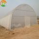 Single-Span Agricultural Greenhouses 50m250 Square Plastic Film Greenhouse from LiTai