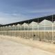 5x4 4x6 4x4 4x2  Polycarbonate Greenhouse Commercial With Tomato Growing System Large Hydroponic