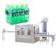 5000 BPH PET Bottle Carbonated Beverage Filling Bottling Machine SUS304