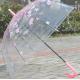 Pink Dome See Through Umbrella , Floral Collapsible Bubble Umbrella Automatic Open