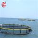 Recyclable Floating Fish Cage Environmentally Friendly Pontoon Easy Installing
