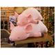 Kawaii Pig Plush Pillow , Full Hollow Cotton Stuffed Pig Pillow 40 - 120CM