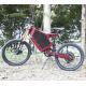 4 wheel electric bicycle for adults with electric engine for bicycle kit and bicycle motor kit electric bike1