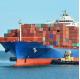 China To World Shipping Freight Forwarder Business FCL FBA Air DDU DDP FOB Cif Sea Freight