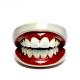 Precision Meets Comfort Custom Fit Ceramic Dental Crowns