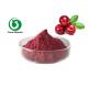 CAS 84082-34-8 Natural Fruit Juice Powder Organic Cranberry Juice Powder
