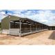 Low Maintenance Poultry Farm Equipment for Broiler Chicken Feeding in Steel Structure