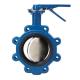 API 598 Fully wafer type butterfly valve Pn16 Pressure Rating for Wafer Lug Flange Connections