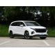 Hyundai Custo 2021 380TGDi Luxury Version DLX Large Mid Size MPV Max 173.6kw