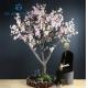Anti - UV Indoor Artificial Japanese Cherry Blossom Tree 120cm Hight