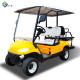 Electric 6 Passenger EV Golf Cart Buggy UTV Utility Vehicles