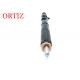 Original DELPHI Common Rail Injector For Ssangyong Rodius EJBR04601Z