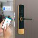 Gold Smart TTLock Digital Door Lock Biometric Password Recognition Unlock For Office