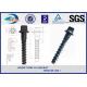 Ss8 Railway Spike Q235 Sleeper Screw Spike SGS standard ISO898-1
