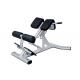 Sliver Color Commercial Gym Exercise Equipment Back Extension Roman Chair