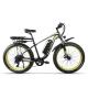 Specialized Women'S Fat Tire Electric Bike 1000w 17Ah CYSUM M980