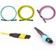 CPR 24C Fiber Optic Patch Cord Data Center MPO Fiber Cable