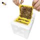Beekeeping 310g 3 Frames Styrofoam Mini Queen Mating Box
