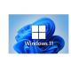 Email Delivery Windows 11 Activation Key 1 PC Unique Code For Windows 11 Pro License