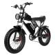 Removable Battery Off Road Fat Tire Electric Bike 40 Miles Steel Frame