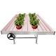 OEM ODM Anti Corrosion Greenhouse Rolling Benches 2x4 Flood And Drain Table