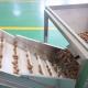 CE Endorsed Pecan Nuts Sorting Machine 7kW 380V Capable 1-2 Tons With 8 Gates