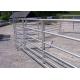 Round Pipe Horse Corral Fencing , 12x4ft Size Galvanised Steel Farm Gates