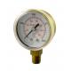 Gas Welding Pressure Gauge Tester  EN 562 50mm 68mm 2.68