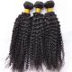 Kinky Curly Brazillian Hair Weave Bundles , 100 Human Hair Extensions Shedding Free