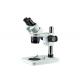 Cheap Two Magnification (10x/20x, 10x/30x, or 20x/40x) Stereo Zoom Microscope