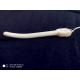 Female Tampon For Urinary Incontinence Avoiding Cross Infection Safety