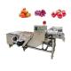 portable vegetable and fruit washing machine small air bubble ozone fruit washer