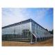 Large Venlo Glass Greenhouse Ideal Solution for Vegetable Cultivation Turnkey Project