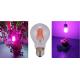 A60 Pink White LED Plant Grow Lights 660nm 8w Filament LED Bulb
