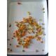 HACCP Soft Taste 567g Canned Mixed Vegetables For Eat