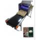 Intelligent Automatic Inkjet Marking Machine For 30 Holes Entire Pallet Eggs