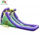 Factory customization Commercial Inflatable Water Slide for Adults and kids