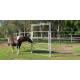 Horse Round Yard 40x40mm 6 Oval Rails. Locking Pins. ,  Victoria , Cattle