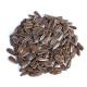 Customized Wholesale Healthy Snacks Sunflower Seeds Market Price with Export Sunflower Kernels