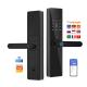 Glomarket Tuya TTlock Fingerprint Digital Password Apartment Home Room Cerraduras Inteligentes Security Smart Wooden Door Lock