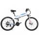 48V 26 Inch Mountain Style Italian Electric Bike For Male and Female Front Rear Disc Brake