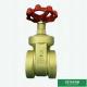 Flexible Ppr Coated Brass Gate Valve With Plastic Part 2 Inch