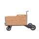 25° Climbing Manual Control 300KG Tricycle Cargo Scooter For Family