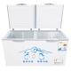 1000 liters large-capacity chest freezer to store ice block and seafood