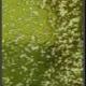 Green Glass Mosaic Tile Kitchen Backsplash For Kitchens Metallic 15x148mm Electroplated