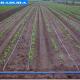 Agriculture Trigger Drip Irrigation Parts Greenhouse Irrigation System For Greenhouse